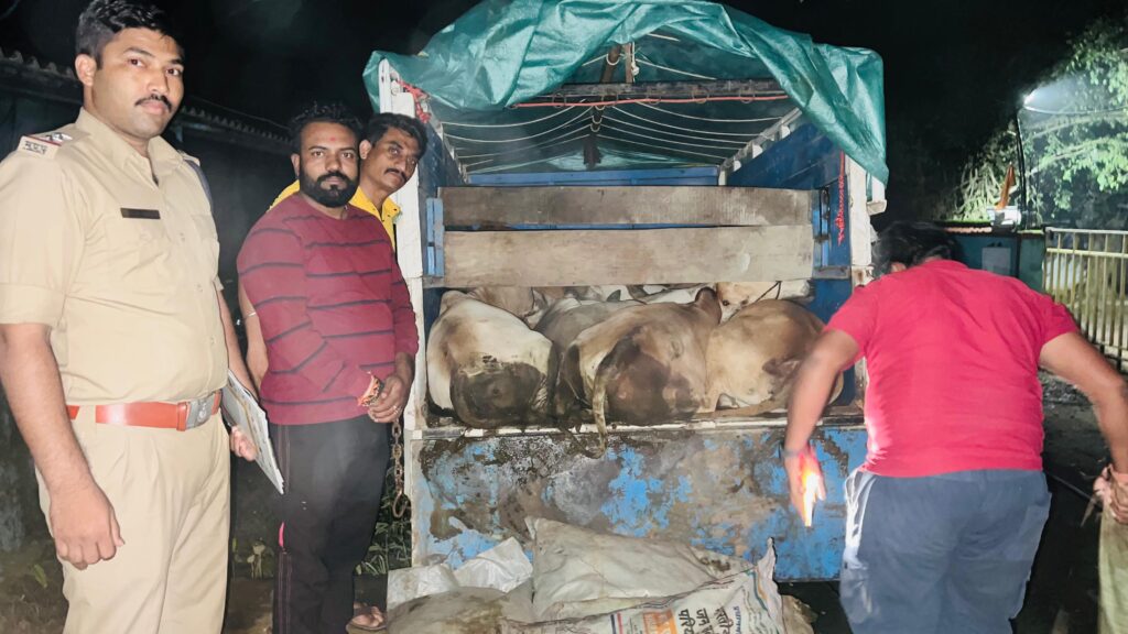 गौ तस्करी करते राष्ट्रीय हिन्दू सेना ने पकड़ी लोडिंग पिकअप कुर्ता पूर्व भरें हुए थे गोवंश